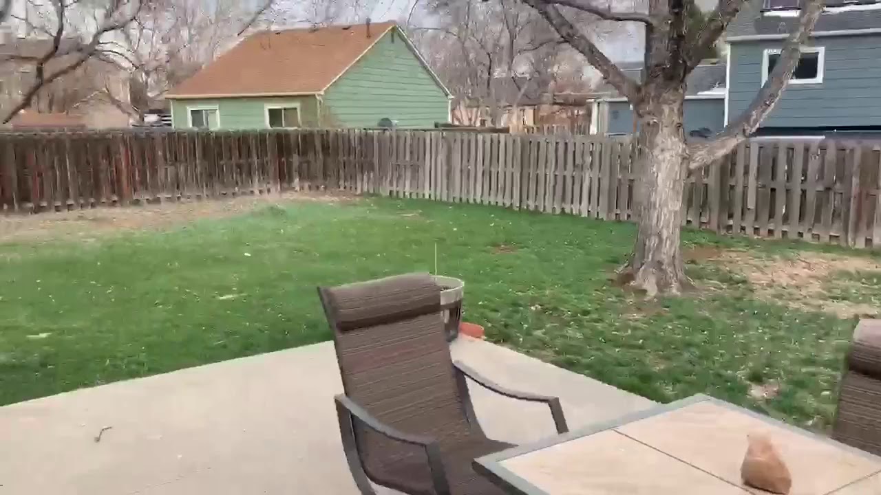 D1D84279 B772 4646 B771 0D9405A225CD - YouTube