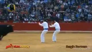 Toreros. Profesionales