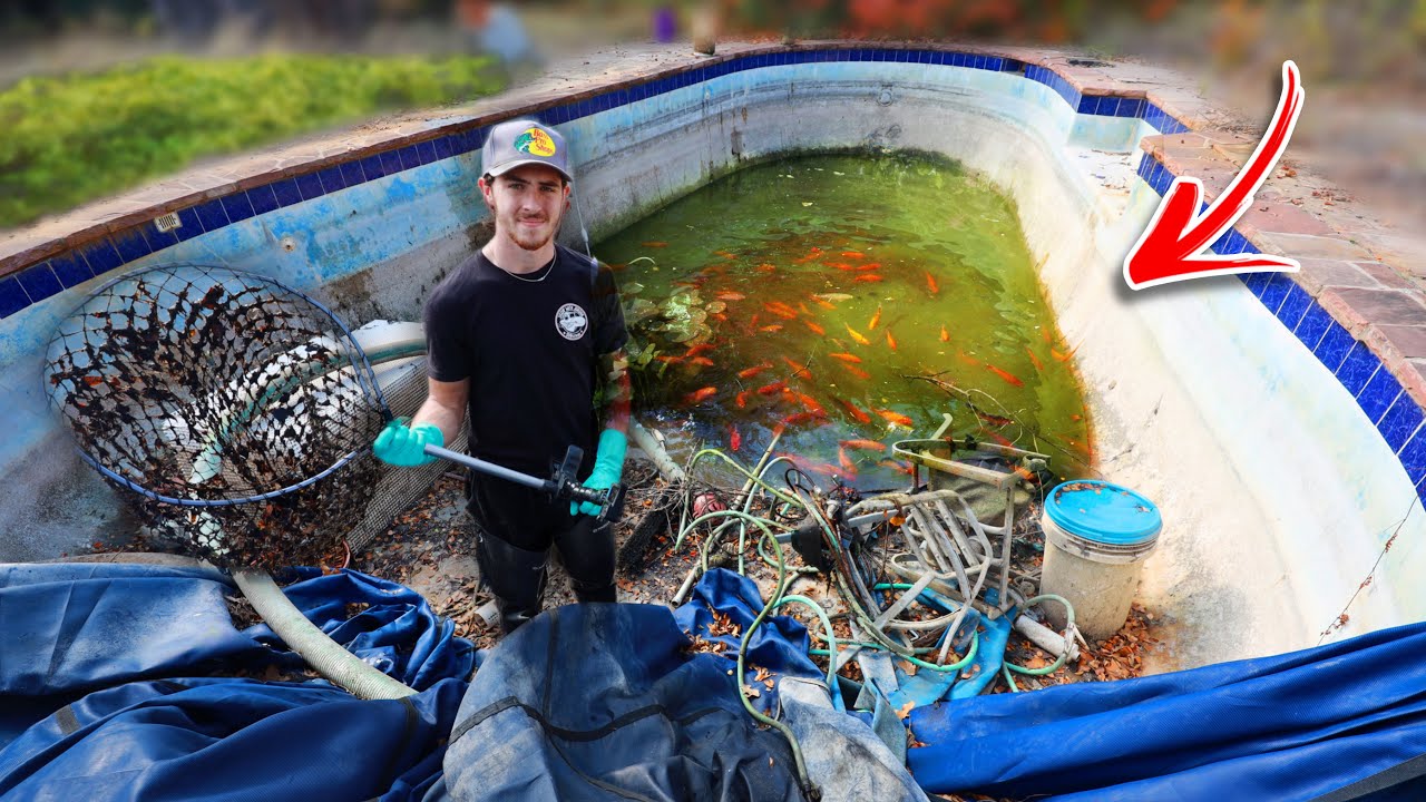 Saving Fish & Turtles from ABANDONED POOL!? (Rescue Mission) - YouTube