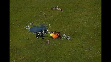 Upgraded VS Not Upgraded - Fortress