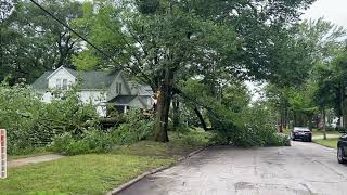 Severe weather, wind downs trees in Muskegon