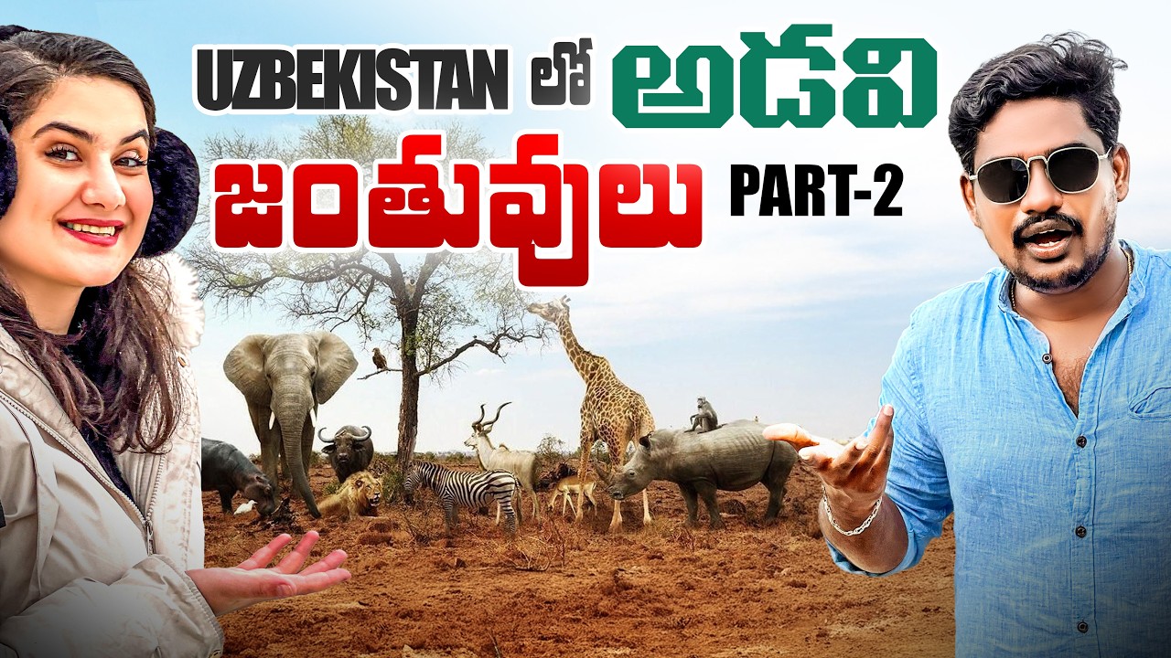 I Was NOT Ready for These Wild Animals 😳🇺🇿 | Inside Tashkent Zoo (Part 2)