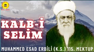 Kalb-i Selim Esad Erbili Hazretleri Mektubat 115. Mektup