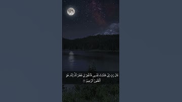 سورة القصص 15 – 16                                                          اكتب شيء تؤجر عليه 🌹