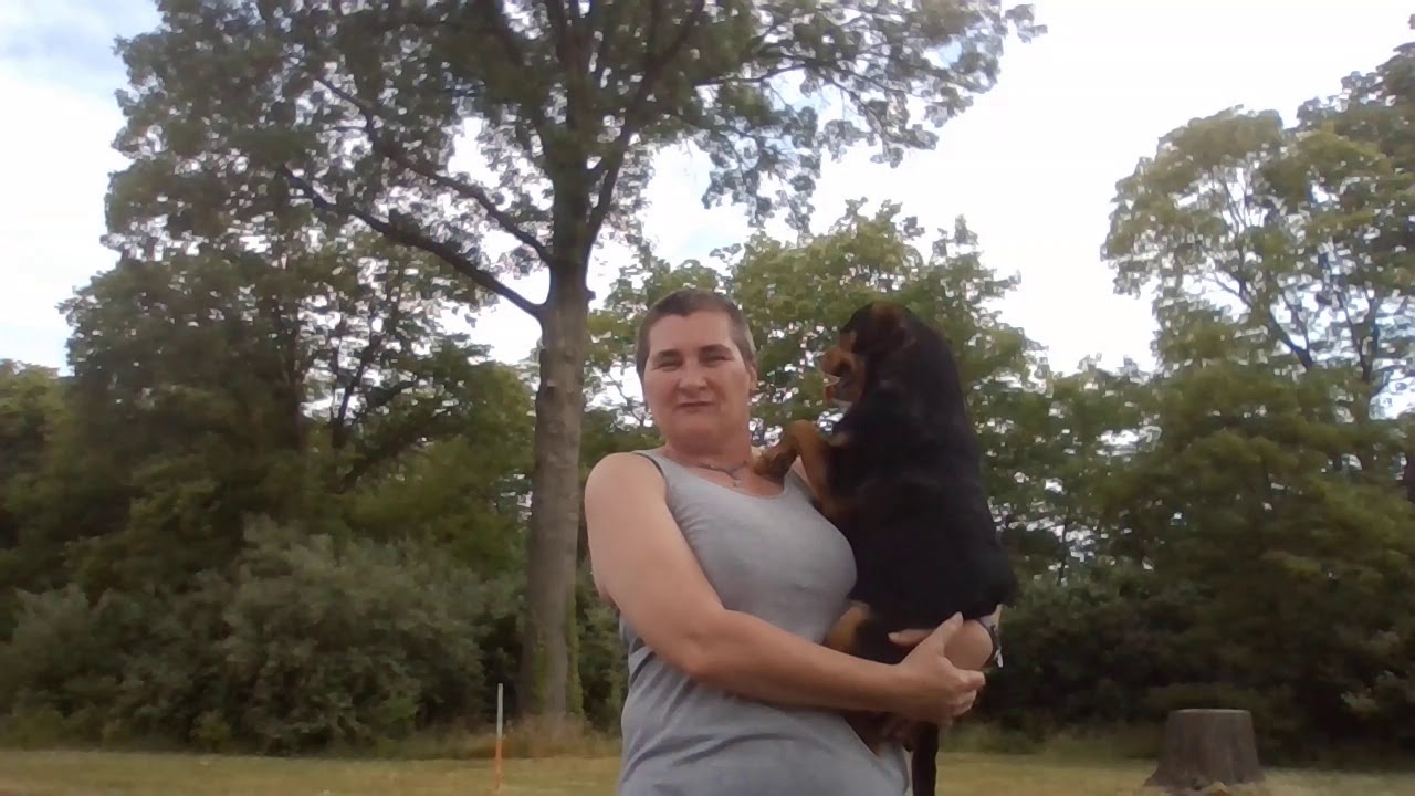 HAPPY BIRTHDAY BOX VAN DEE