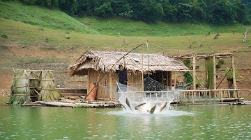 Fishing and duck care - Setting traps in the forest, cooking, surviving alone on the river