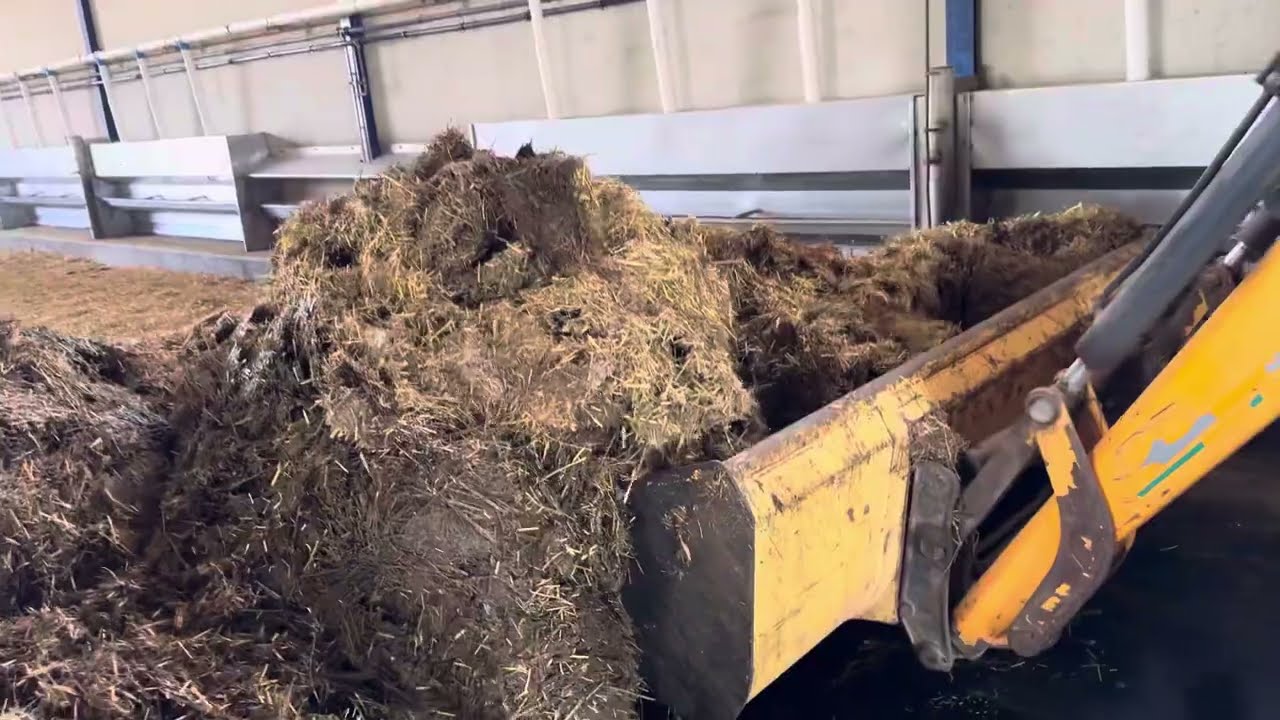 Como en  cada salida y entrada de nuestros corderos la limpieza es fundamental