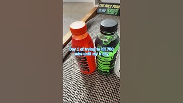 Day 1 of trying to hit 700 subs until my birthday #subchallenge #shorts