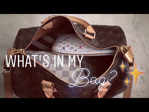 Louis Vuitton Purse (or Diaper Bag) Giveaway!