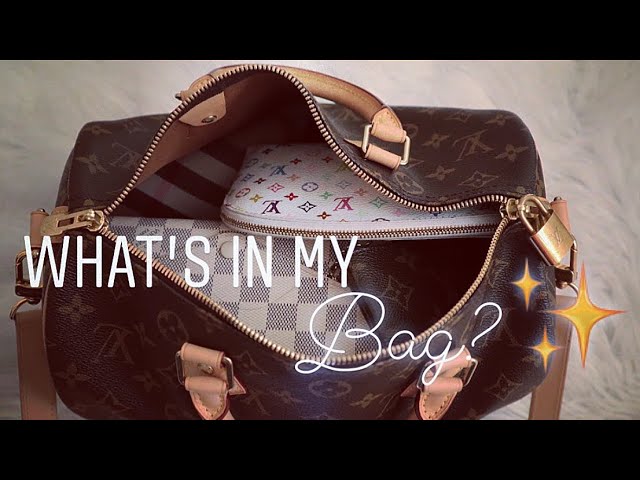 My Louis Vuitton Collection Part 15--Damier Ebene Chelsea Tote Bag