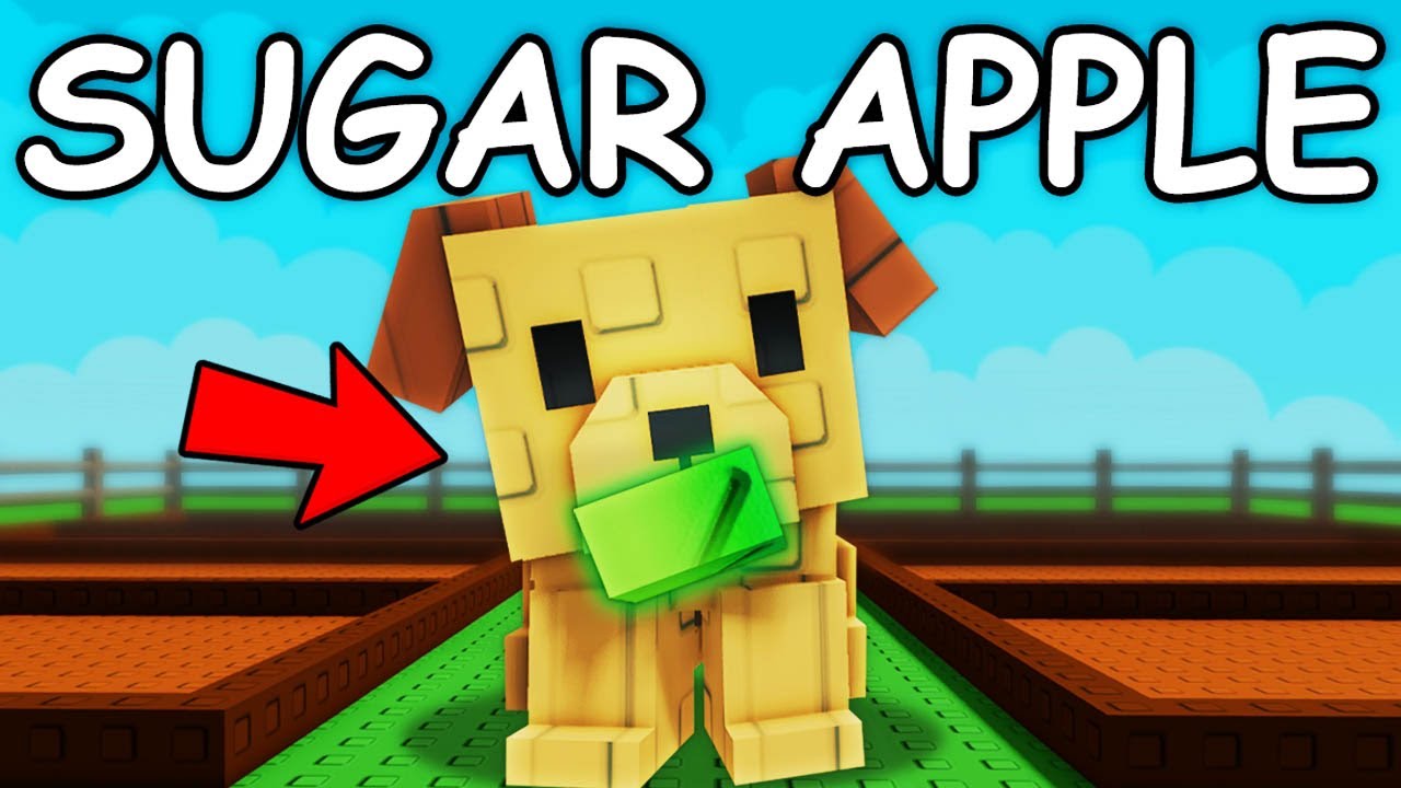 Используя только семена, которые выкопал мой золотистый лабрадор, вырастите сад!