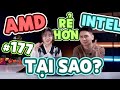 Tại sao Laptop AMD lại rẻ hơn Intel? - Hỏi đáp #177 | LaptopWorld