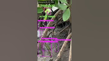 AI For Trees: Counting mangroves 10,000x faster than humans! 🌳💨 #AI #Conservation