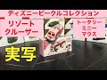 リゾートクルーザー（トータリーミニーマウスVer.）紹介してみた【ディズニービークルコレクション】