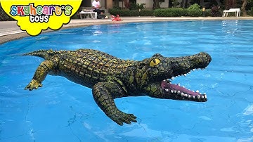 GIANT CROCODILE in our swimming pool! Skyheart orca whale pool battle with alligator sharks toys