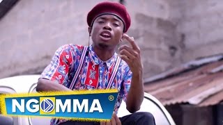 Dulla Makabila -Ujaulamba (Official Video) chords