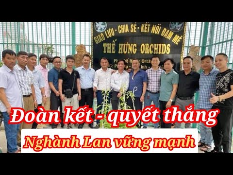 Video chính Trương khôi phục thị trường hoa lan| hành động ý... - youtube