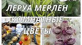 Людмила Life