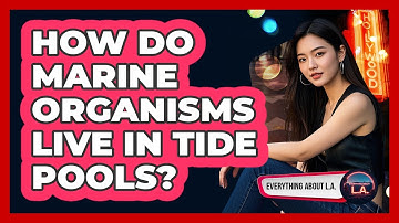 How Do Marine Organisms Live In Tide Pools?