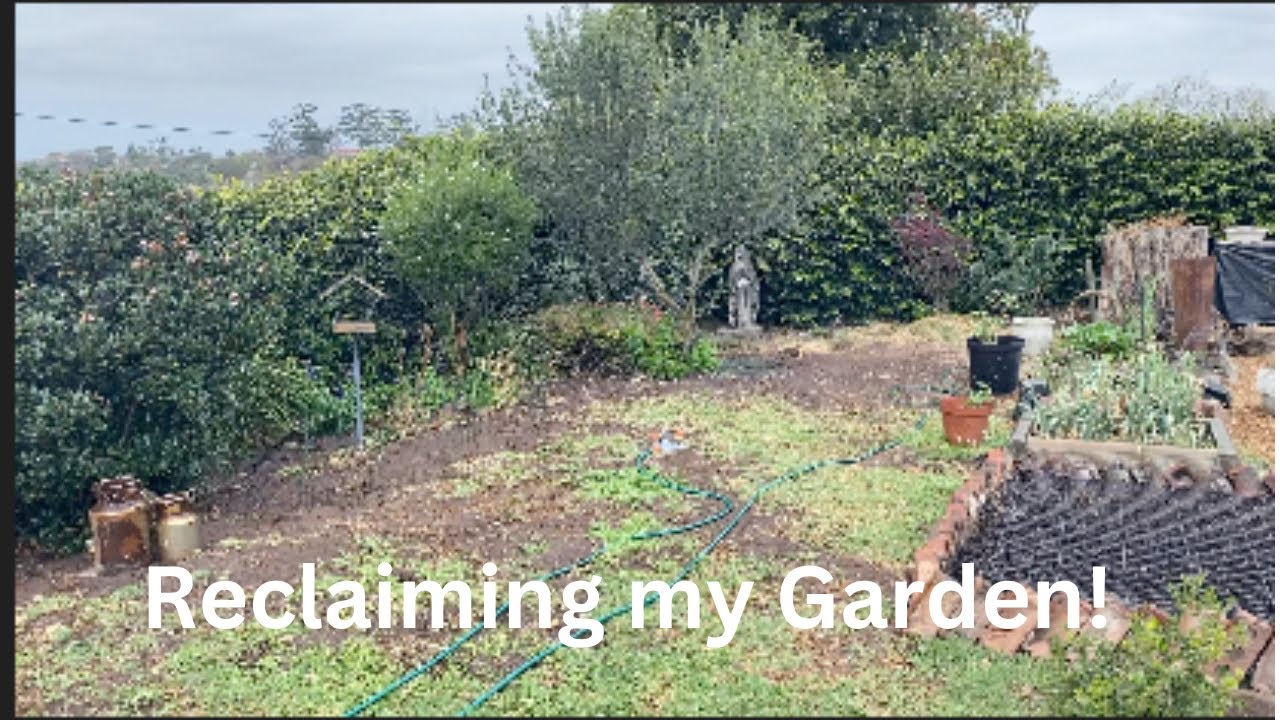 Reclaiming my garden