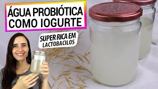 DEIXE SUA ÁGUA PROBIÓTICA COMO UM IOGURTE! CONHEÇA O REJUVELAC DE AVEIA, RICO EM LACTOBACILOS!