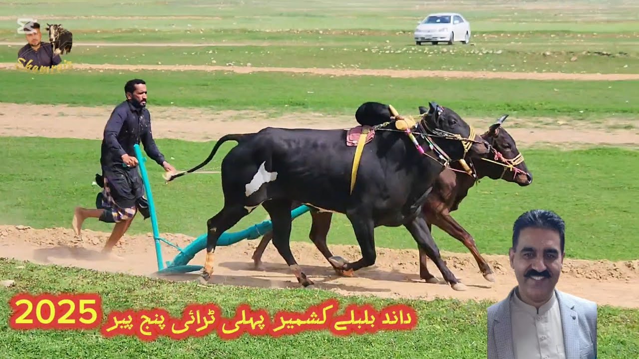 Ch Rukhsar Ch rukhsar shab bajarvi | dand bulbuly kashmir | first try panjpeer ...