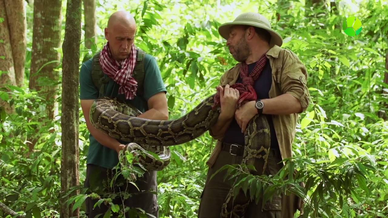 Промо "Хабургаев В Натуре. 1 Сезон" - YouTube