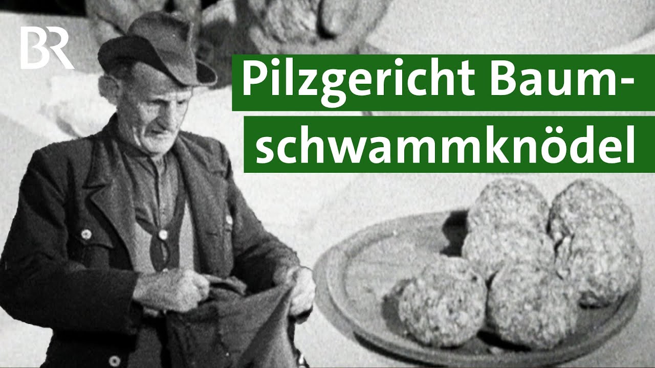 Kreative Rezepte: Buchenschwammknödel - Arme-Leute-Essen aus dem Bayerischen Wald | Unser Land | BR