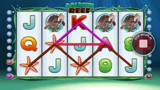 Big Win on Free Spin Dolphin Reef Slot Machine from Playtech screenshot 4