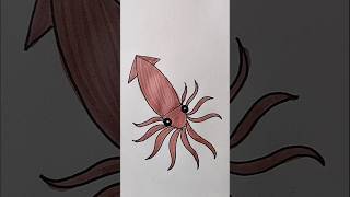 Squid 🐙 Easy Drawing For Kids #squid #kidstvforfun #trending #shorts #viralshorts #drawing