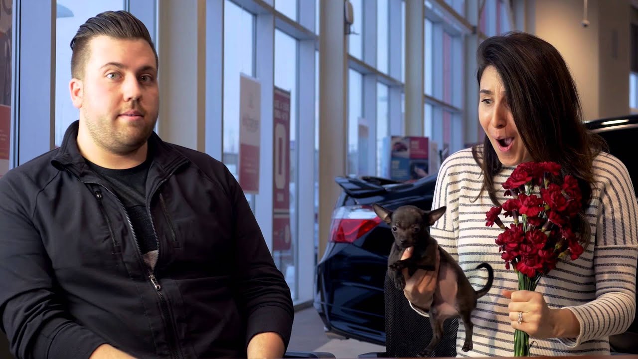 The Most Interesting Car Dealer - Go Honda