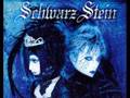 Schwarz Stein - Beautiful The Virgin