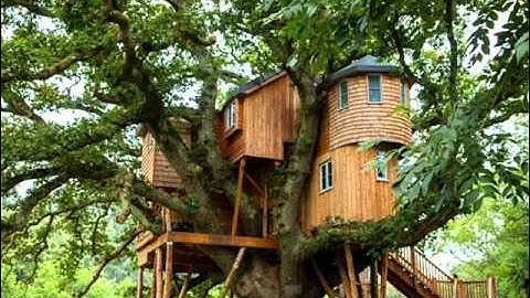 Kwv Huam Tsov Los Hem Tub Ntsuag Tom Teb