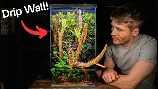 Celebrity I Made a Drip Wall Ecosystem For Cherry Shrimp, Here's How! Profile