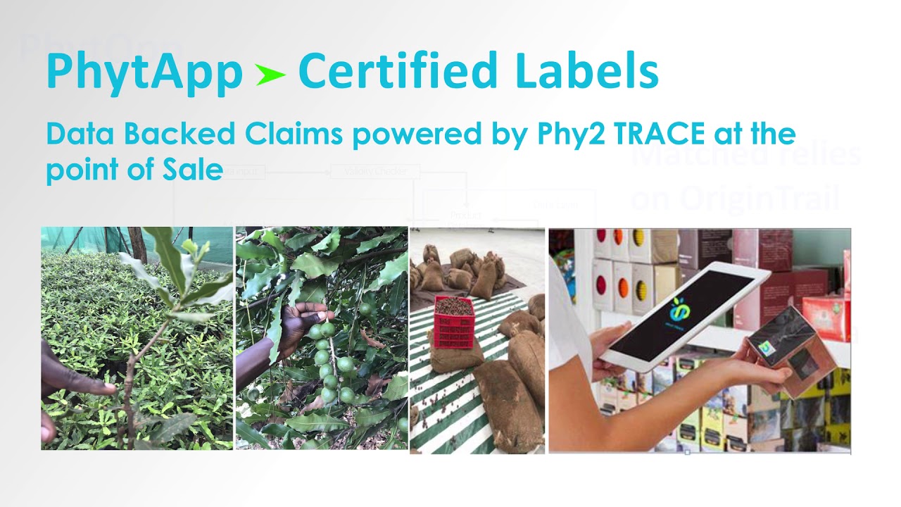 OriginTrail Open Call 2018 - Phy2Trace