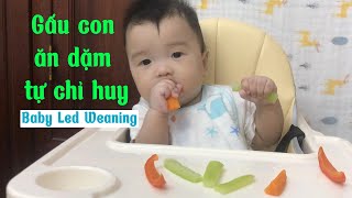 Lần đầu Gấu con ăn dặm tự chỉ huy nè | The first time of Baby Bear led weaing | BLW | V38