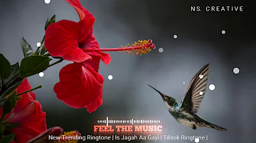 New Trending Ringtone | Tujhe Kitna Chahne Lage | Tiktok Ringtone |