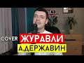 Виталий Лобач - Журавли (cover А. Державин)