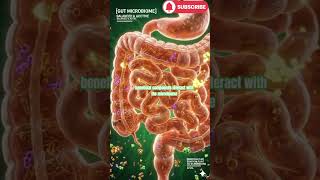 What Happens Inside Your Body After Using Clove Oil? | 3D Medical Animation  #3DAnimation#CloveOil