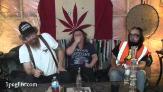 THC episode-605 on the loaf big times