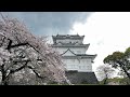 小田原城お花見ライブ🌸
