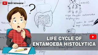 ENTAMOEBA HISTOLYTICA ||BY PHANINDRA.