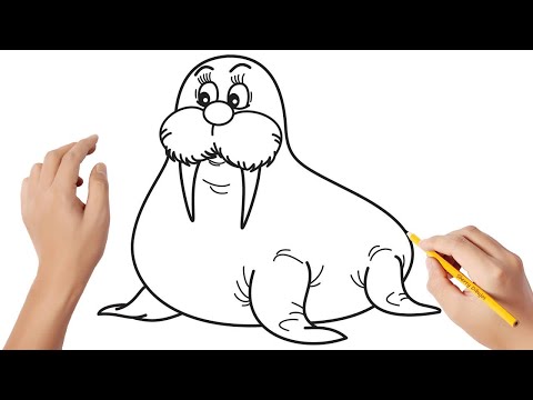 Video: Cómo Dibujar Una Pequeña Morsa En Etapas