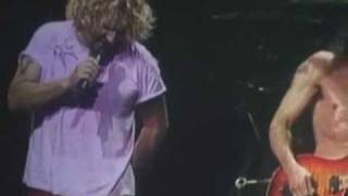 VAN HALEN - panama (live 2004)