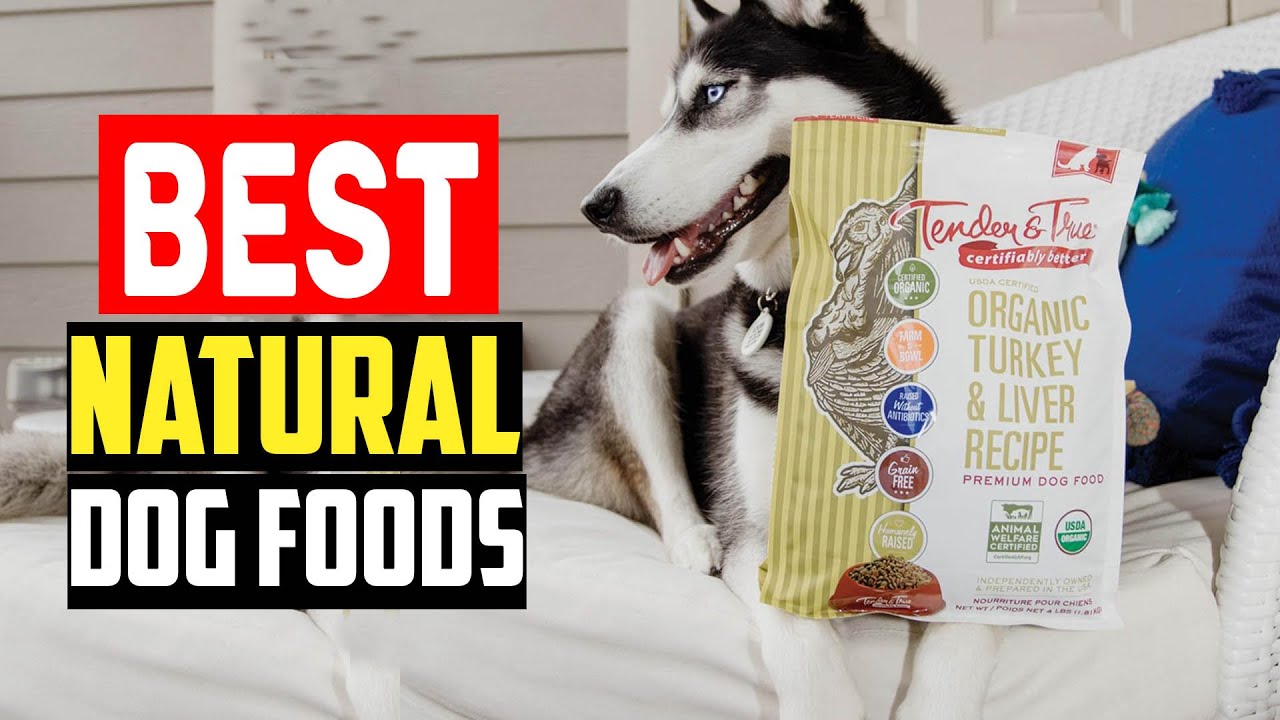 Top 5 Best Natural Dog Foods in 2024 - YouTube