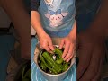 Episode 42 / Electric Vegetable Cutter vs Giant Green Pepper #Mincer #food