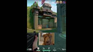 Bronze reyna player vs 5 silvers