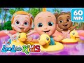  60 minutes of looloo kids hitsa compilation of childrens favorites  kids songs by looloo kids