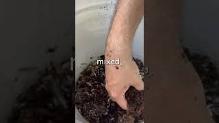 Download Lagu Infinite Worms #shorts MP3