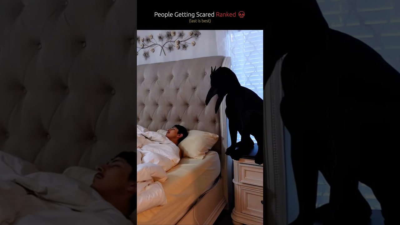 People Getting Scared Ranked 💀